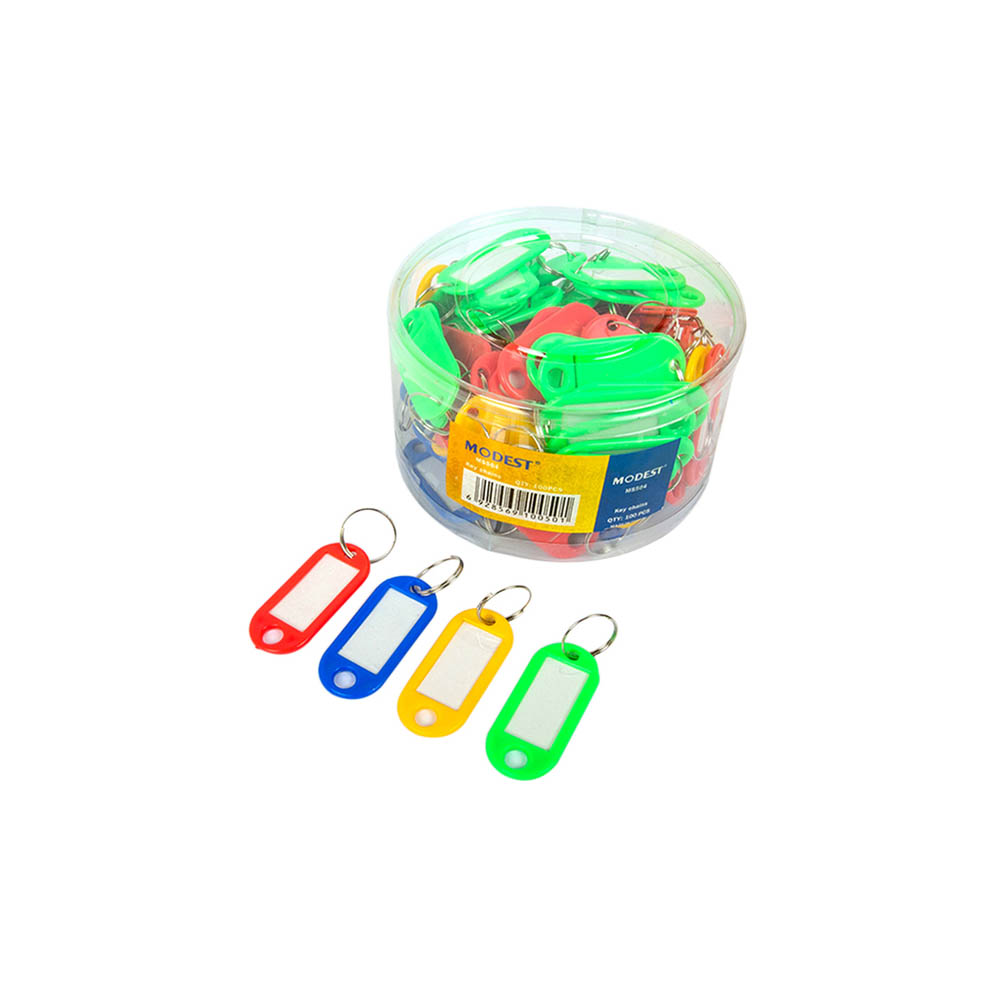 gal-60abaf3150e06Modest 100-Piece Key Tags, Multicolor, MS564-2.jpg